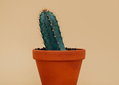 Görsel