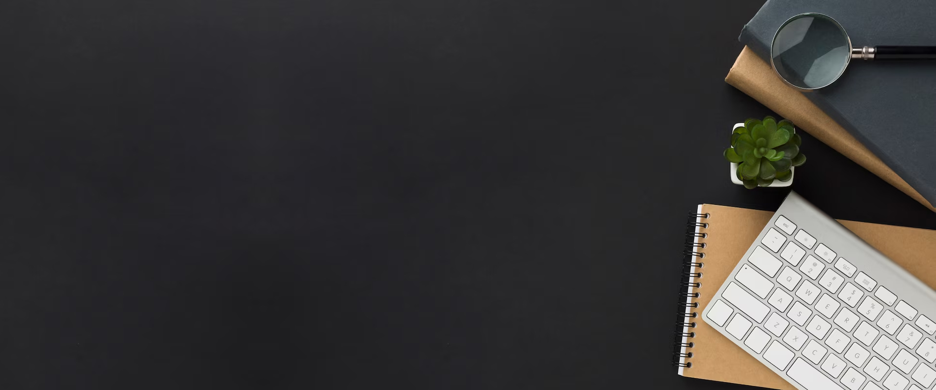 Premium Startup önizleme